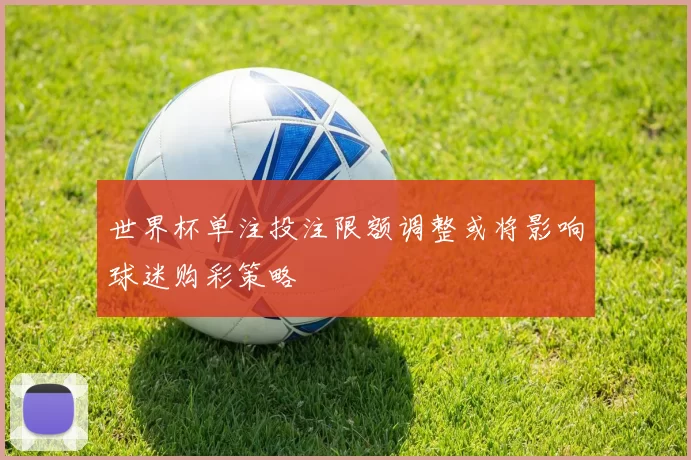 世界杯单注投注限额调整或将影响球迷购彩策略