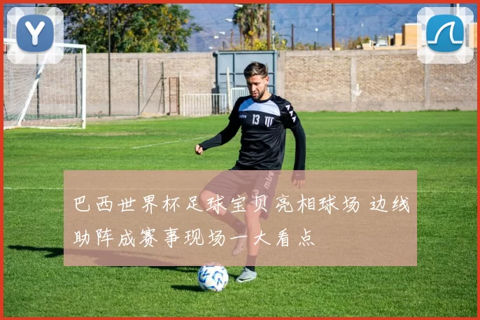 巴西世界杯足球宝贝亮相球场 边线助阵成赛事现场一大看点