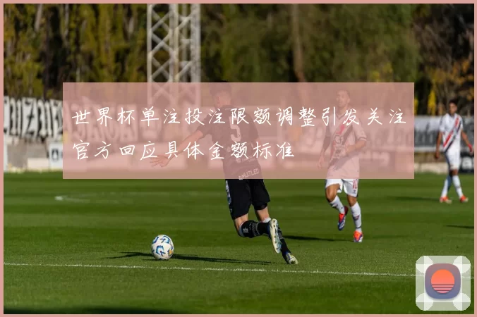 世界杯单注投注限额调整引发关注官方回应具体金额标准