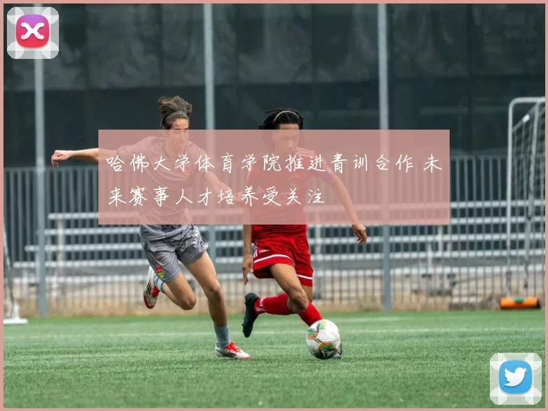 哈佛大学体育学院推进青训合作 未来赛事人才培养受关注