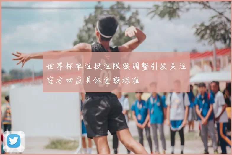 世界杯单注投注限额调整引发关注官方回应具体金额标准