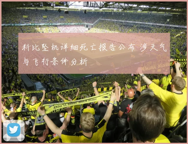 科比坠机详细死亡报告公布 涉天气与飞行条件分析
