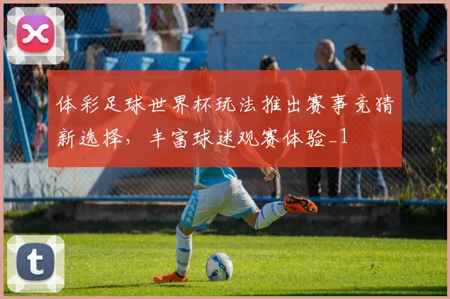 体彩足球世界杯玩法推出赛事竞猜新选择,丰富球迷观赛体验_1