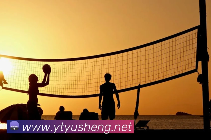 半岛官网在线登录发展历程